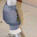 SACHET ICE HORSE PARA EMERGENCIAS